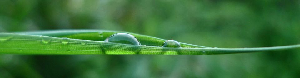 Elke Scheffer, Ernährung + Achtsamkeit, achtsam essen, MBSR Essen, Stressreduktion, MBSR-Kurs, Achtsamkeitsworkshops