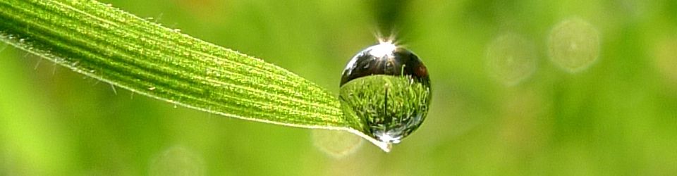 Achtsamkeit im Unternehmen, Stressreduktion, MBSR, Nachthaltigkeit, Gelassenheit, Entspannung 